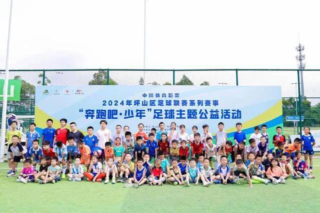 施罗德换曼恩：黄蜂与骑士评分